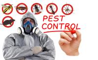 My Home Pest Control Geelong image 2
